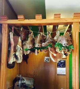 a bunch of stuffed animals hanging on a wall at Hotel Parrilla el Zangano in Boal