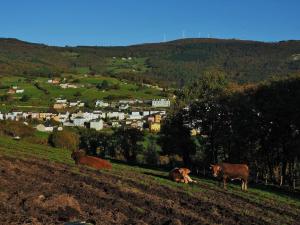 two cows laying on a hill in a field at Hotel Parrilla el Zangano in Boal
