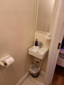 a small bathroom with a sink and a mirror at City centre room Ensuite in Cork