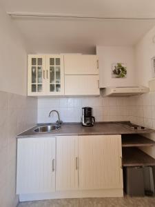 Kuchyň nebo kuchyňský kout v ubytování Gästehaus Radlerhof