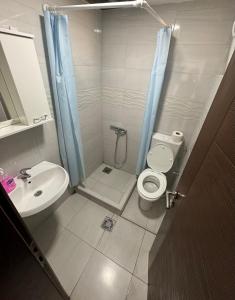 苏托莫雷Apartment Perutović的带淋浴、马桶和水槽的浴室