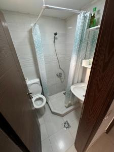 Apartment Perutović的一间浴室