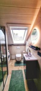 La salle de bains est pourvue de toilettes, d'un lavabo et d'une lucarne. dans l'établissement Miu's Roof, à Alpirsbach