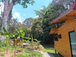 Zahrada ubytování Thoas Lodge