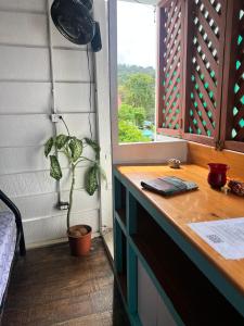 Balkón nebo terasa v ubytování Backpackers Caribe Puerto Viejo