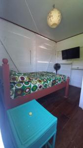 TV a/nebo společenská místnost v ubytování Backpackers Caribe Puerto Viejo