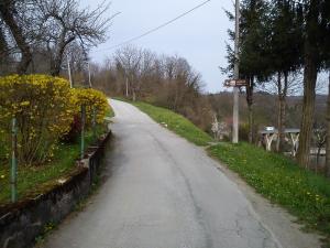 Príroda v okolí penziónu