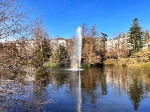 a fountain in the middle of a pond at RAUM2GO - NO3 stylisches studio KURPARK & CITY in Wiesbaden