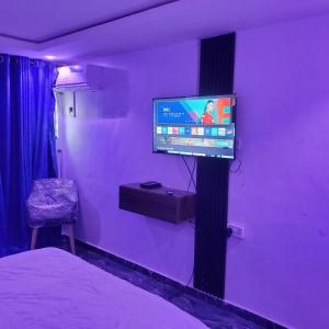 Μια τηλεόραση ή/και κέντρο ψυχαγωγίας στο WELTONS Apartment BABA YUSUF
