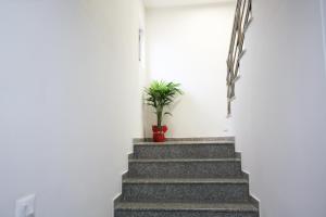 Fotografie z fotogalerie ubytování Villa Reve de Tirana v destinaci Tirana
