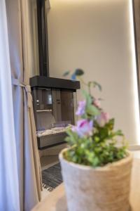 a potted plant sitting on a table in front of a mirror at Polyzos Luxury Suites Meteora #5 - Adults Friendly in Kalabaka +13 photos