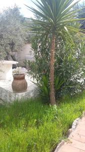Un jardín fuera de Casa vacanze VILLA ANGELA in Sicilia con pool house country per 16 guest