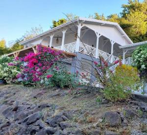 Giardino di VILLA KARAT