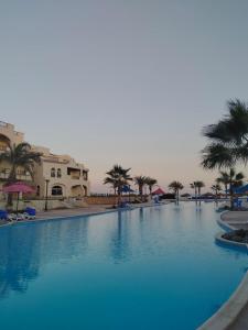 une grande piscine avec des palmiers et des bâtiments dans l'établissement شاليه للايجار في العين السخنة قرية بالم بيتش للعائلات فقط, à Ain Sokhna