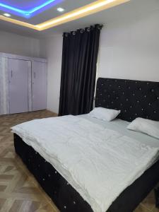DBaLoGuN's HoMe ABEOKUTA- NEAR PANSEKE客房内的一张或多张床位