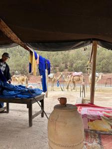 Un homme assis sur un lit à côté d'un groupe de chameaux dans l'établissement Maison N 20, à Oulad Akkou