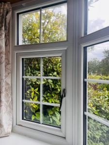 una finestra con vista su una pianta di THE LOG CABIN no neighbours sleeps up to 5 people Free parking Bfst drinks PET FRIENDLY a Leicester