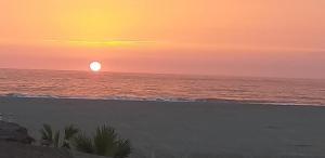 Φυσικό τοπίο κοντά σε αυτό το διαμέρισμα +5 φωτογραφίες