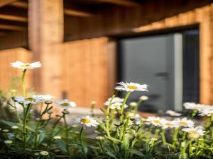 Fotografie z fotogalerie ubytování 6-bedroom villa in Moravia ve Velkých Karlovicích