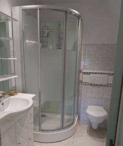a bathroom with a shower and a toilet at Moulin des Rondelles in Cerisy-la-Forêt