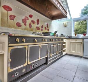 a kitchen with a stove with red flowers painted on the wall at Moulin des Rondelles in Cerisy-la-Forêt +42 photos