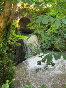 Φωτογραφία από το άλμπουμ του Moulin des Rondelles σε Cerisy-la-Forêt