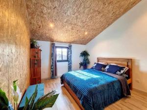a bedroom with a bed with a blue comforter at Villa spacieuse avec piscine privée à Le Tampon in Bois Court +7 photos