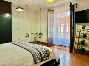 Hotel Boutique Casa Catalá的电视和/或娱乐中心