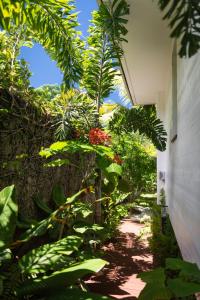 Fotografie z fotogalerie ubytování Baby Plage Bora Bora v destinaci Bora Bora