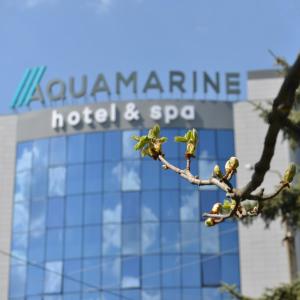 a tree branch in front of a hotel and spa at Aquamarine hotel&spa in Kursk