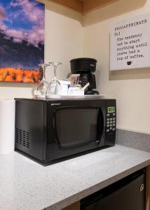 a microwave sitting on top of a counter at Snowcreek Suite - Aspen - Hot Tub - Kitchenette in Leavenworth