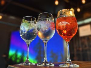 底拉斯卡拉Hotel Boutique Casa Catalá的桌子上坐着三杯酒