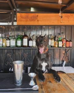 Hotel Boutique Casa Catalá的酒水