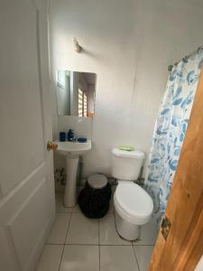 a bathroom with a toilet and a sink at Hostal Flor Austral in Chile Chico