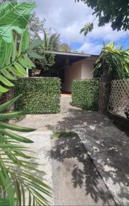 Zahrada ubytování Tauraatini House F4 - PAPEETE