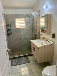 a bathroom with a shower and a sink at OceanView Oasis in Discovery Bay