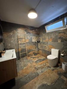 a bathroom with a ladder and a toilet in it at LaKaz à Eva in Cilaos +54 photos