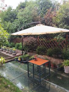 Park One B&B Zhangjiajie Forest Park Scenic Area Shop外面的花园