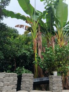 Park One B&B Zhangjiajie Forest Park Scenic Area Shop外面的花园