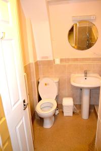 a bathroom with a toilet and a sink and a mirror at The Avenue Bed and Breakfast in Newcastle upon Tyne
