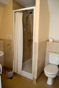 a bathroom with a shower with a toilet and a sink at The Avenue Bed and Breakfast in Newcastle upon Tyne