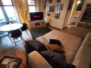 ein Wohnzimmer mit Sofa und Fernseher in der Unterkunft LE COCOON Saint Lô - Appartement privé tout équipé - Haras - Parking gratuit - Entrée autonome - Wifi - Netflix - Baignoire - Lave-linge - Lit Queen Size 160cm & canapé-lit 140cm - Jusqu'à 4 personnes in Saint Lo