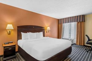 Postel nebo postele na pokoji v ubytování Comfort Inn & Suites Somerset - New Brunswick