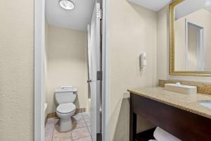 Koupelna v ubytování Comfort Inn & Suites Somerset - New Brunswick