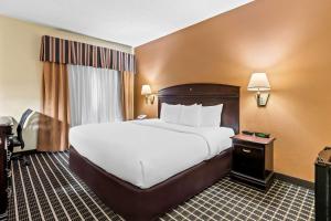 Postel nebo postele na pokoji v ubytování Comfort Inn & Suites Somerset - New Brunswick
