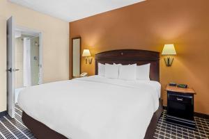 Postel nebo postele na pokoji v ubytování Comfort Inn & Suites Somerset - New Brunswick