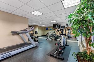 Fitness centrum a/nebo fitness zařízení v ubytování Comfort Inn & Suites Somerset - New Brunswick