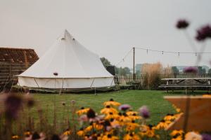 Fotografie z fotogalerie ubytování Shaka Belgium Tipi v destinaci Maldegem