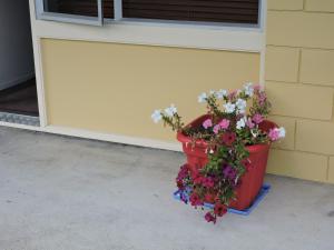 two buckets of flowers sitting outside of a garage at Maple Lodge Motel in Matamata