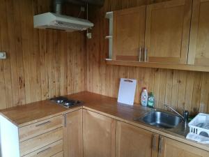 Kuchyň nebo kuchyňský kout v ubytování Lodja Jäägrimaja